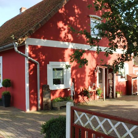 Ferienwohnung Zum Nordlicht Bassum Exteriör bild